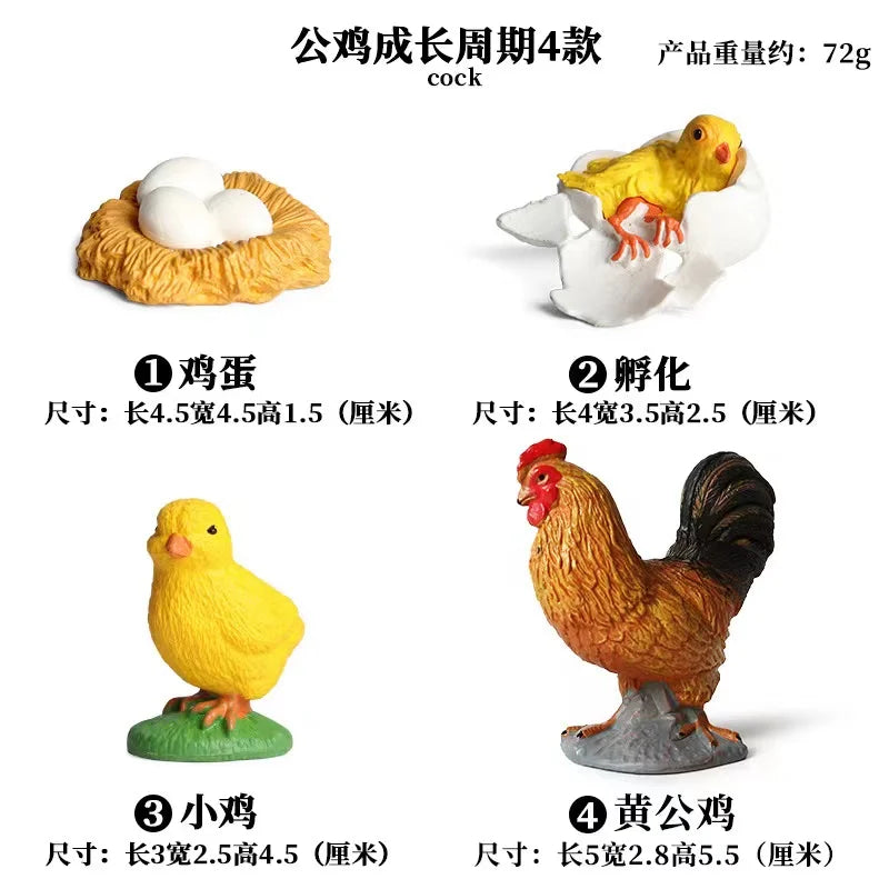 Ma planche de l'évolution