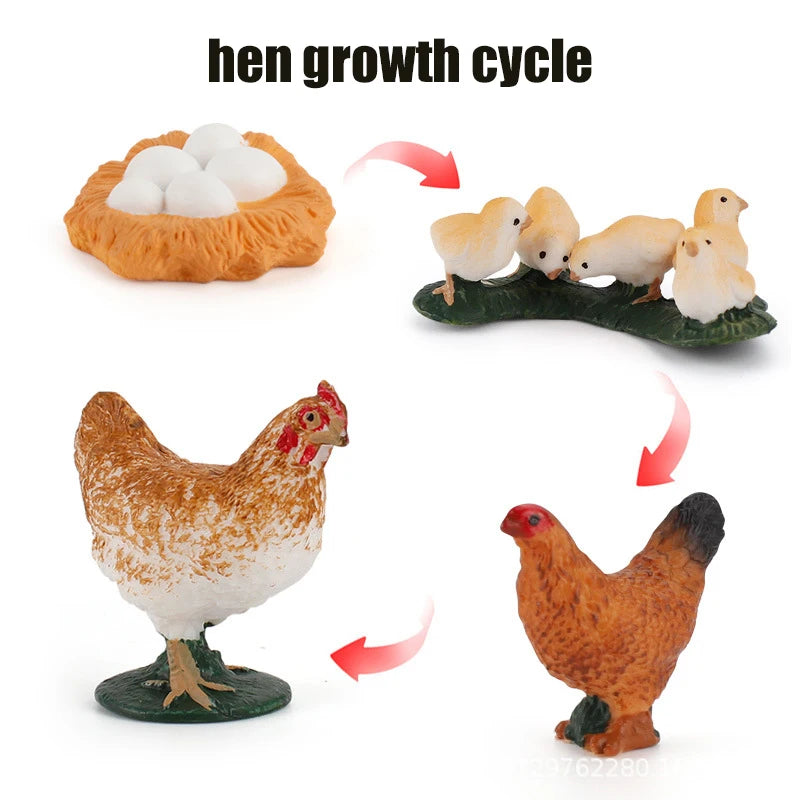 Ma planche de l'évolution